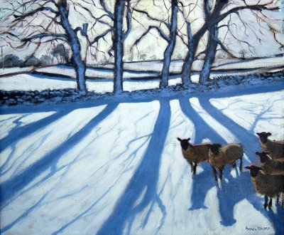 Sheep in snow, Derbyshire by Andrew Macara